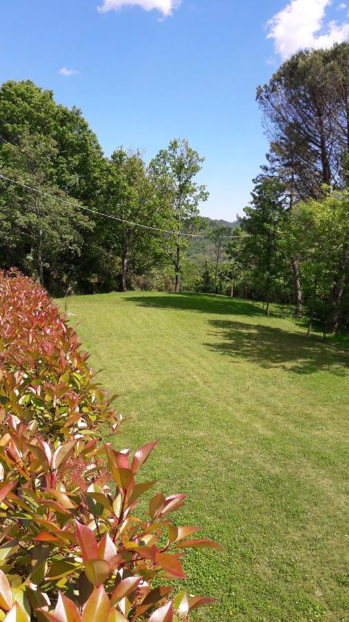 B&B Oasi Verde Corvara  Bagian luar foto